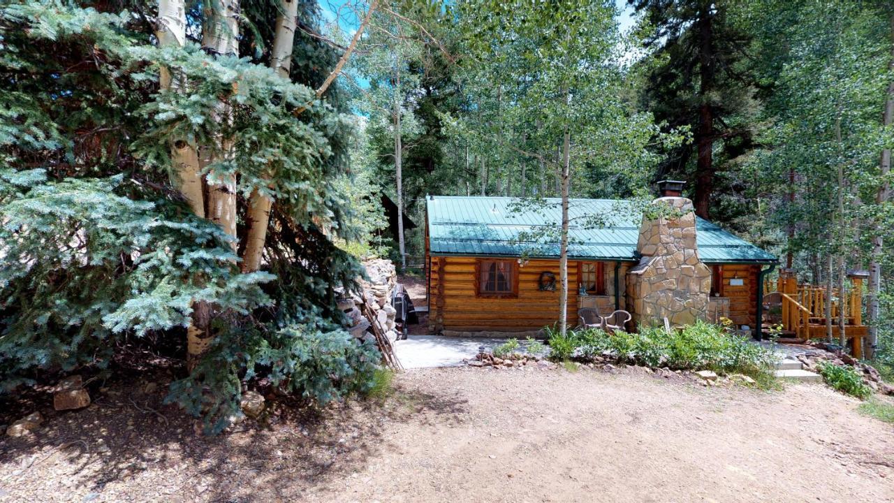 Cabin By The Creek With High Speed Wifi Red River Exterior foto